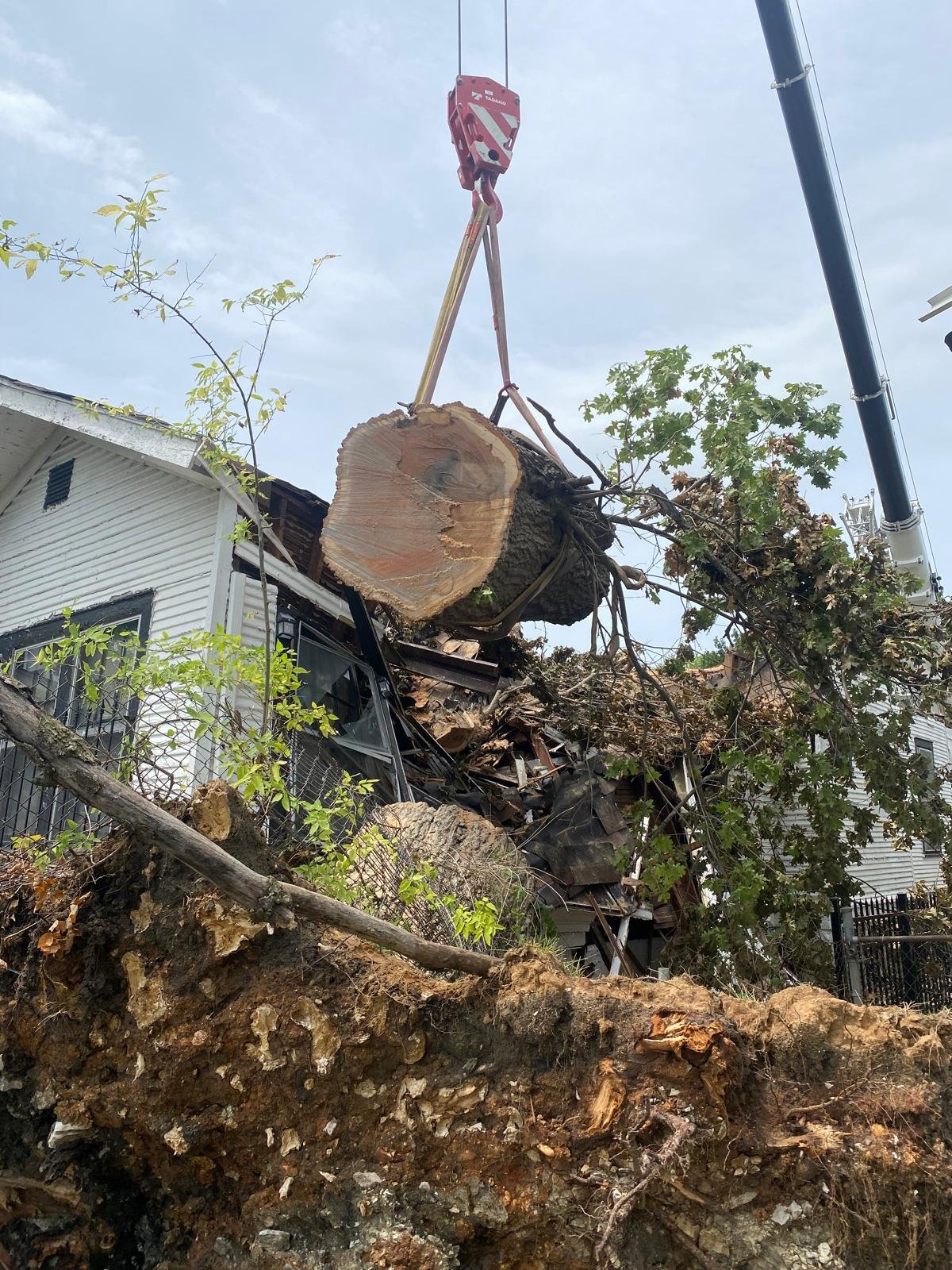 Lot & land clearing visual from the company website
